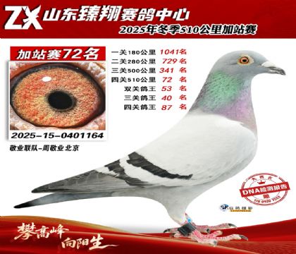 山东臻翔510公里72名