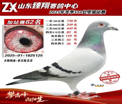 山东臻翔510公里82名