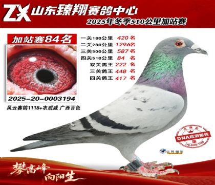 山东臻翔510公里84名