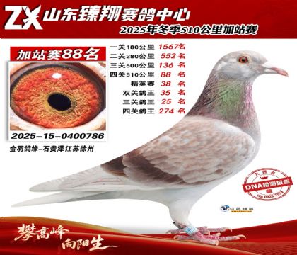 山东臻翔510公里88名