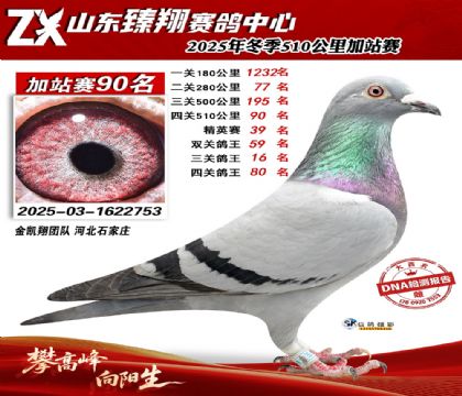山东臻翔510公里90名