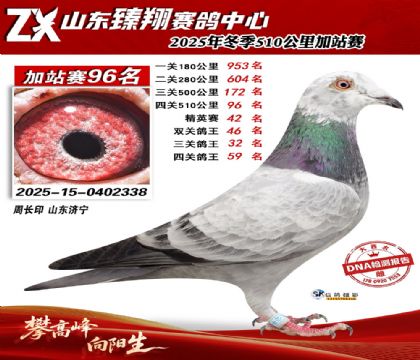 山东臻翔510公里96名