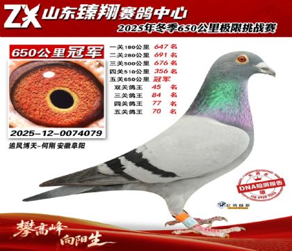 ɽ������650����ھ�