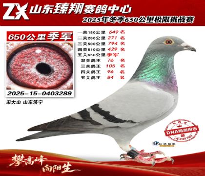 ɽ������650���＾��