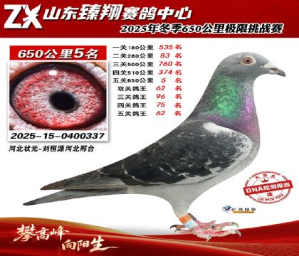 ɽ������650����5��