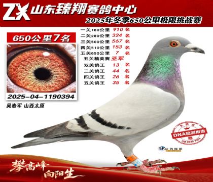 ɽ������650����7��