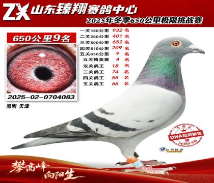 ɽ������650����9��