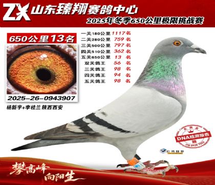 ɽ������650����13��