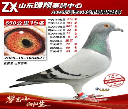 ɽ������650����15��