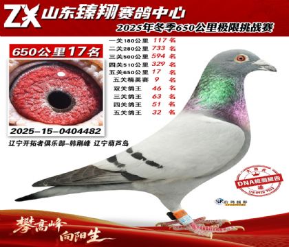 ɽ������650����17��