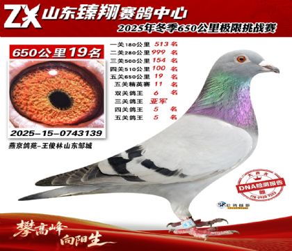 ɽ������650����19��