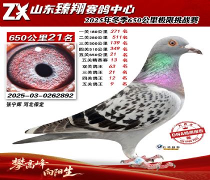 ɽ������650����21��