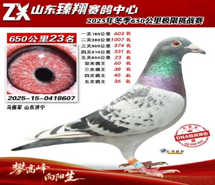 ɽ������650����23��