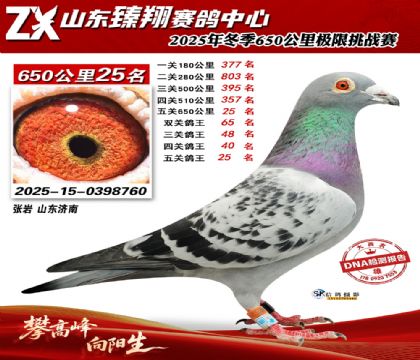 ɽ������650����25��