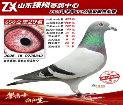 ɽ������650����29��