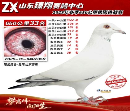 ɽ������650����33��