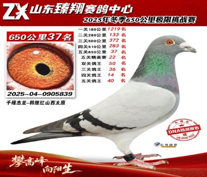 ɽ������650����37��