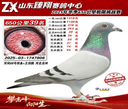 ɽ������650����39��