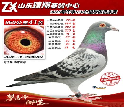 ɽ������650����41��