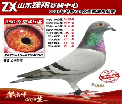 ɽ������650����45��