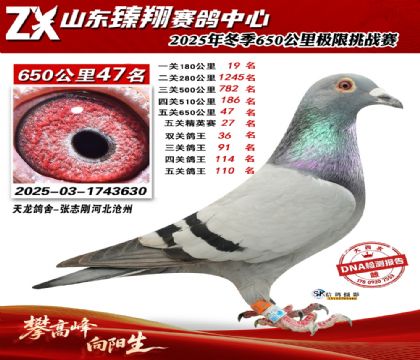 ɽ������650����47��