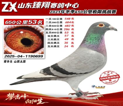 ɽ������650����53��