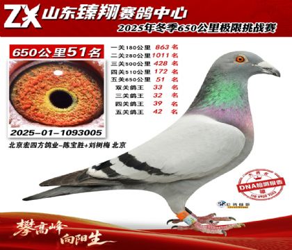 ɽ������650����51��