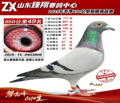 ɽ������650����49��