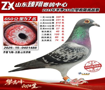 ɽ������650����57��