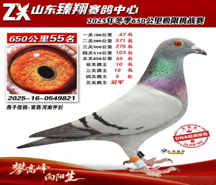 ɽ������650����55��