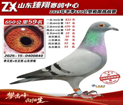 ɽ������650����59��