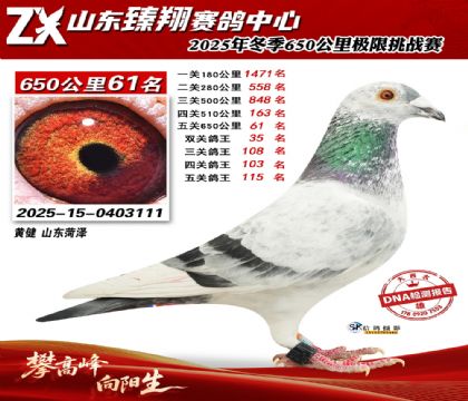 ɽ������650����61��