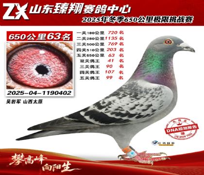 ɽ������650����63��