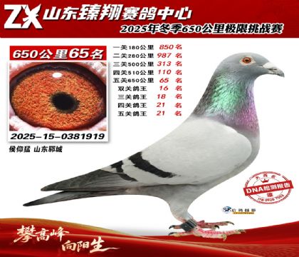 ɽ������650����65��