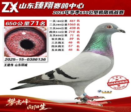 ɽ������650����71��