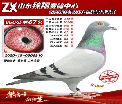 ɽ������650����67��