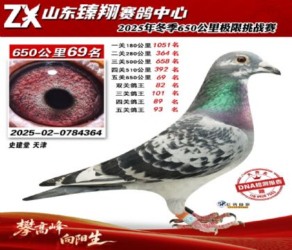 ɽ������650����69��