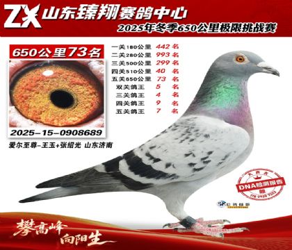 ɽ������650����73��