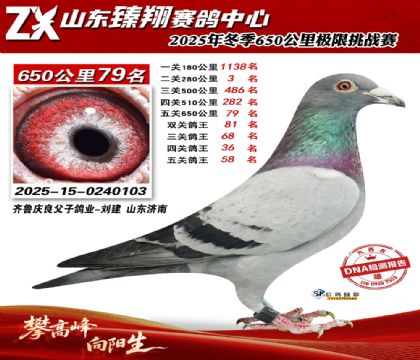 ɽ������650����79��