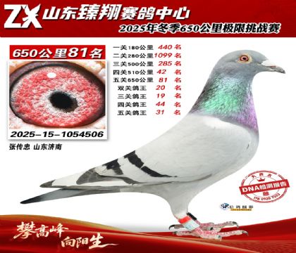 ɽ������650����81��