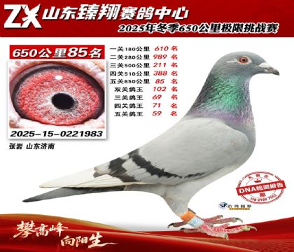 ɽ������650����85��