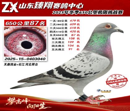 ɽ������650����87��