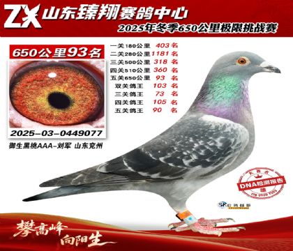 ɽ������650����93��