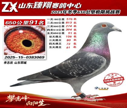 ɽ������650����91��