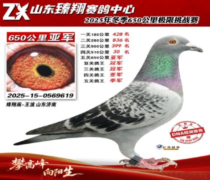 ɽ������650�����Ǿ�