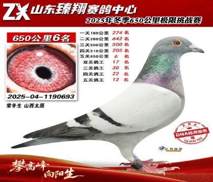 ɽ������650����6��