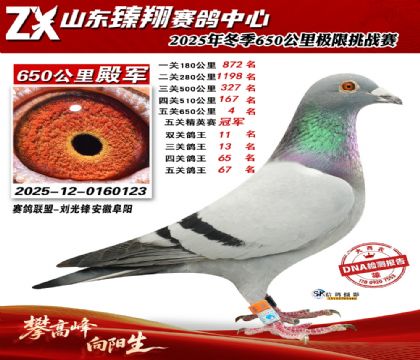 ɽ������650����4��