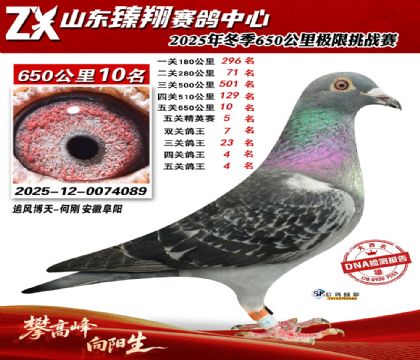 ɽ������650����10��