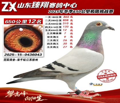 ɽ������650����12��