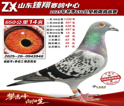 ɽ������650����14��